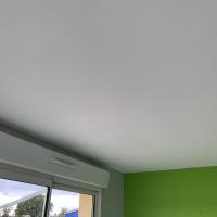 Remise en état d'un plafond 45 m² suite à un dégât des eaux
