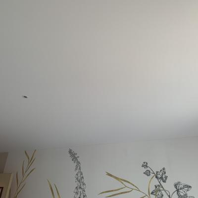 Pose de plafond tendu