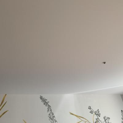 Plafond tendu à froid